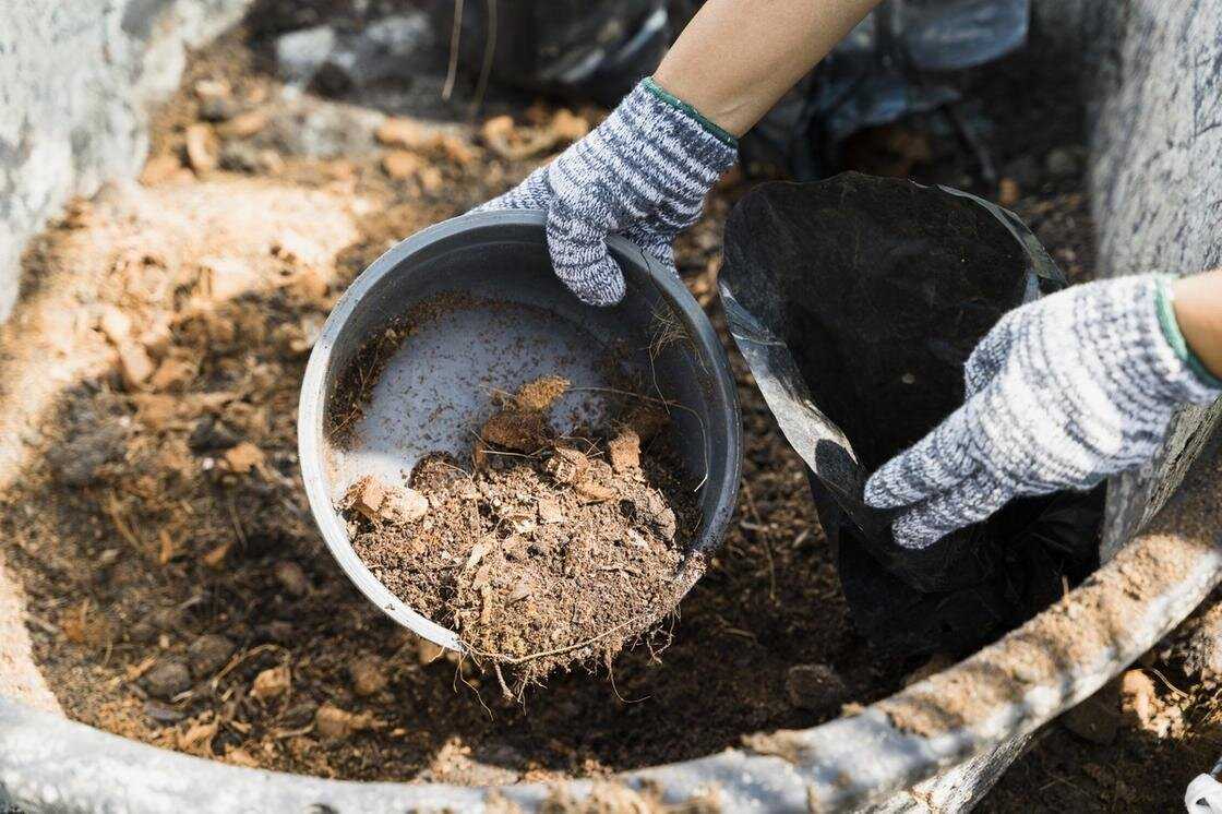 Классификация почв — floraprice.ru