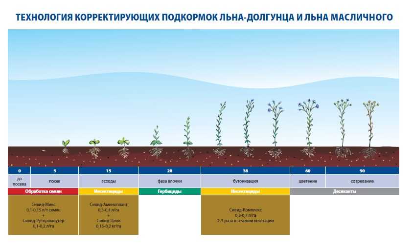 Оптимизация минерального питания льна масличного в южной лесостепи западной сибири