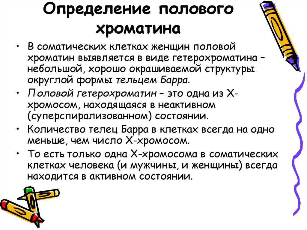Половой хроматин — большая медицинская энциклопедия