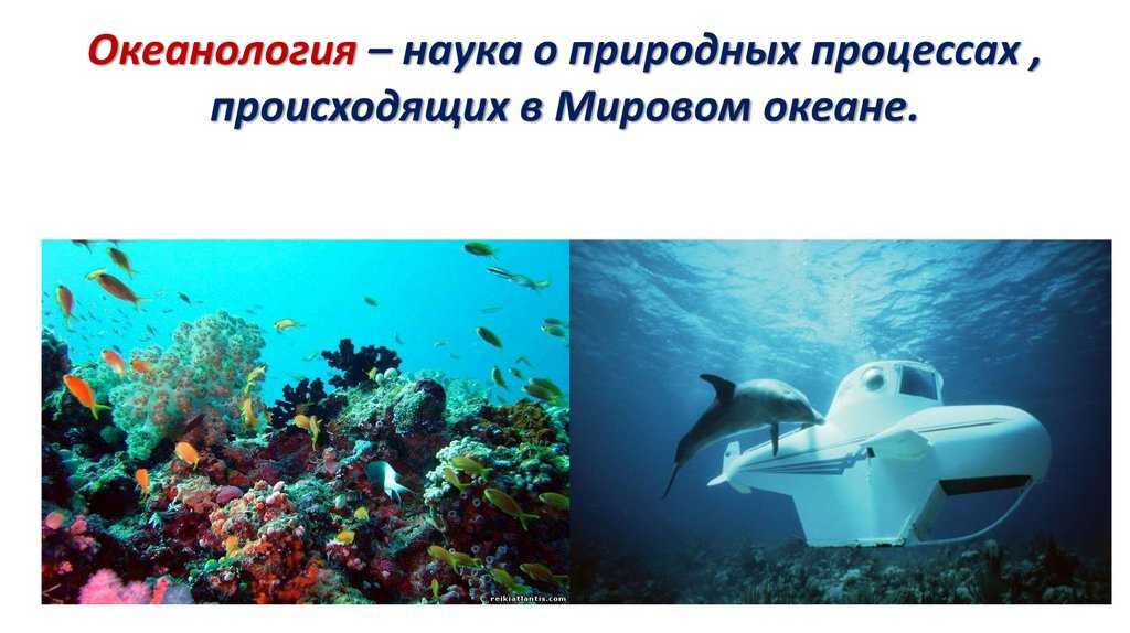 Что такое океанология: краткое описание и основные принципы науки