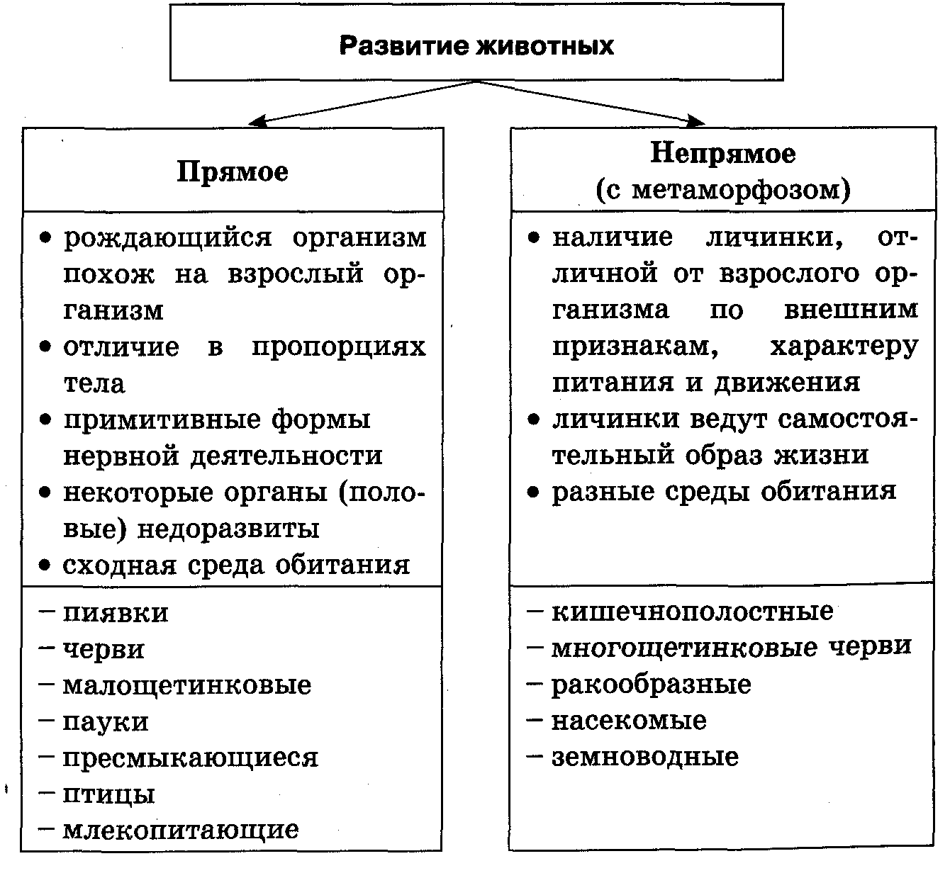 В чем заключается биологическое значение метаморфоза кратко