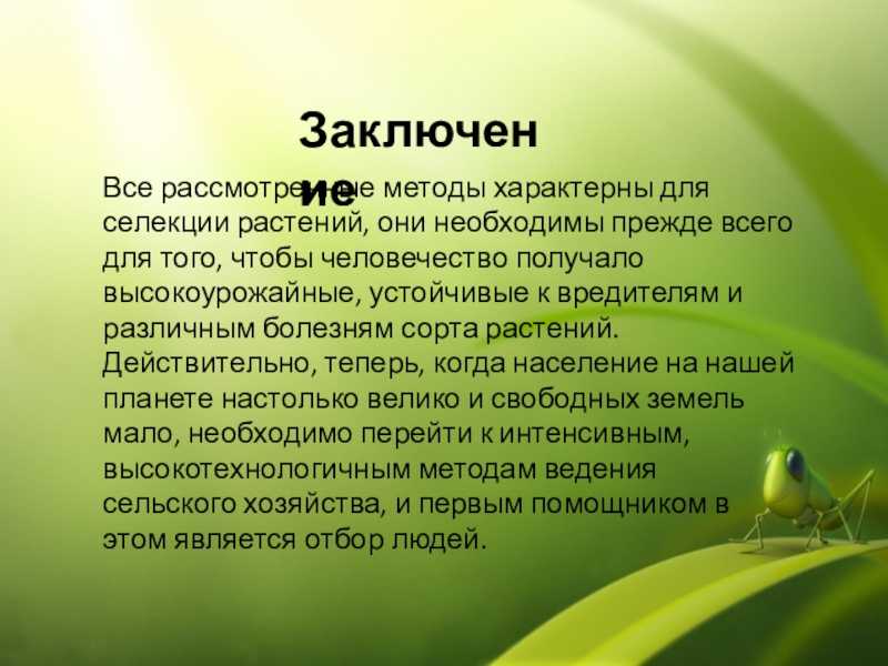 Генетика (стр. 9 )