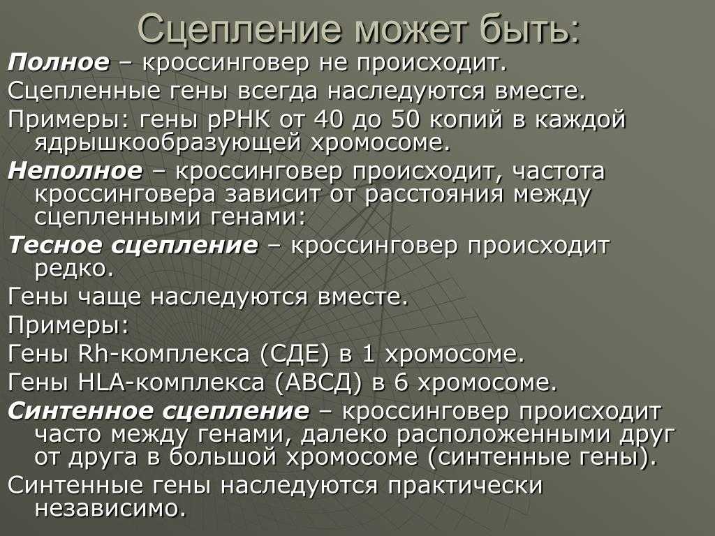 45. организм как биологическая система
                                читать 0 мин.