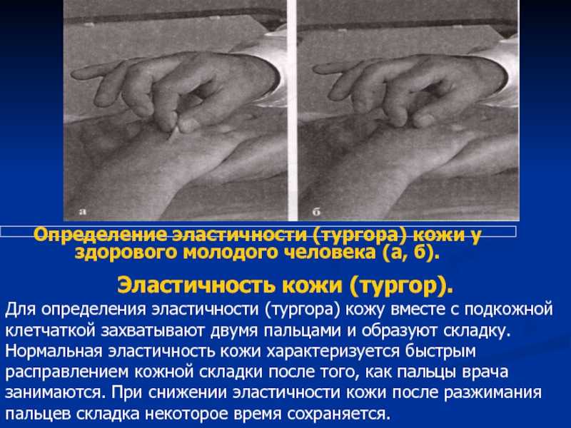 Биология том 2 - руководство по общей биологии - 2004