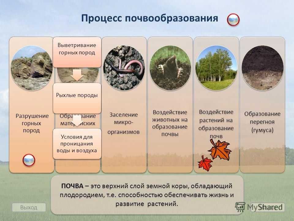 Краткий курс лекций