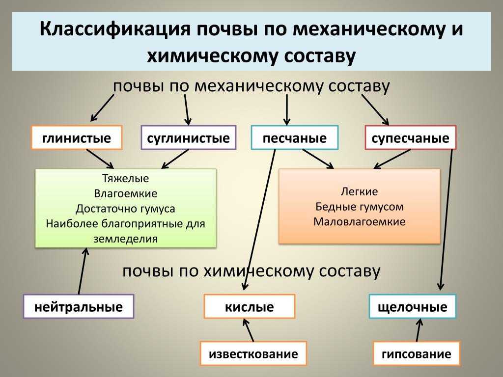 Понятие о структуре почвенного покрова