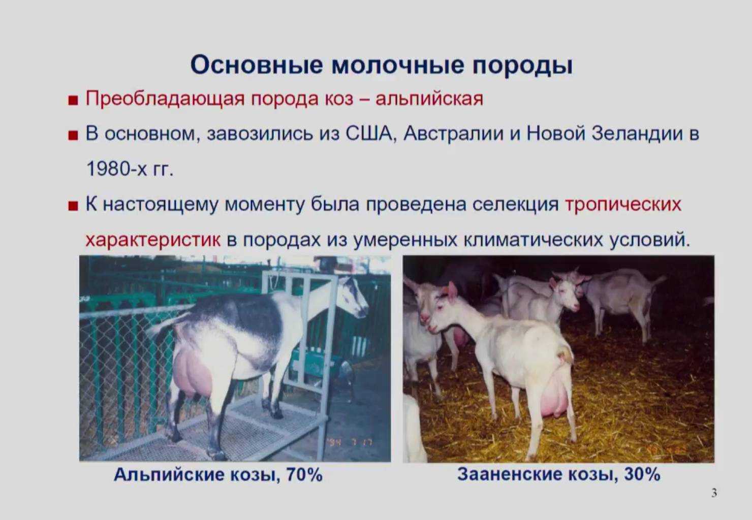 Козы