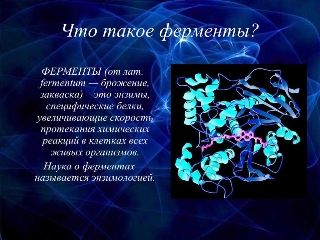 Общие представления о механизме действия ферментов [1974 ермолаев м.в. - биологическая химия]