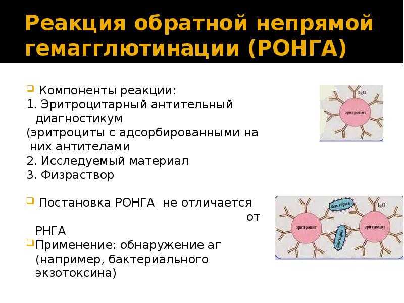 Реакция торможения гемагглютинации в вирусологии