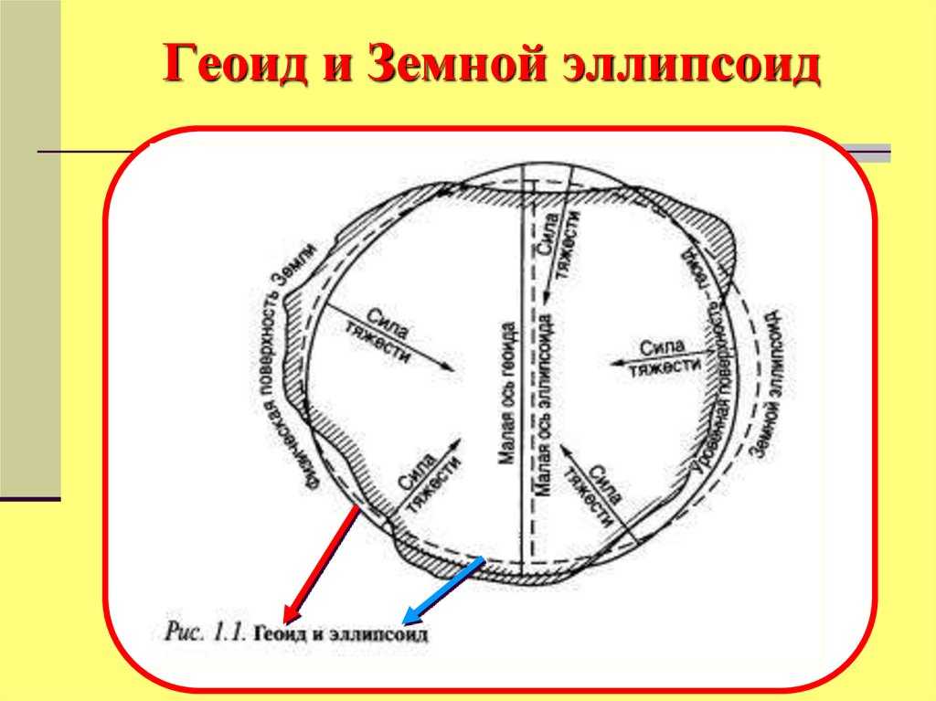 Земля: форма, размер, масса, объем, окружность и диаметр