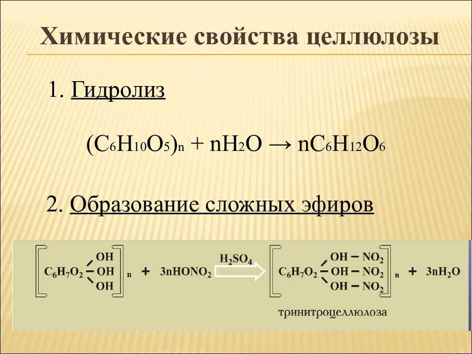Целлюлоза⭐️: что это такое, строение, качественная реакция, формула, получение и применение