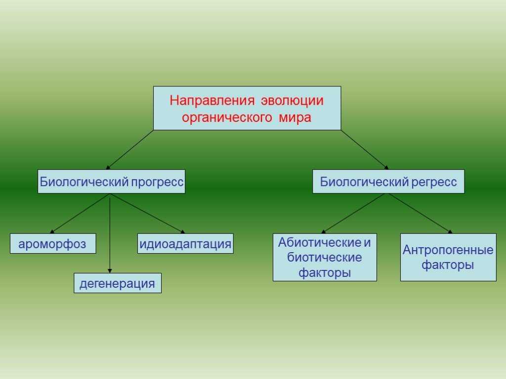 Ответы к §34 урок-семинар современные проблемы теории эволюции гдз к учебнику биологии пасечник 9 класс - страница 35