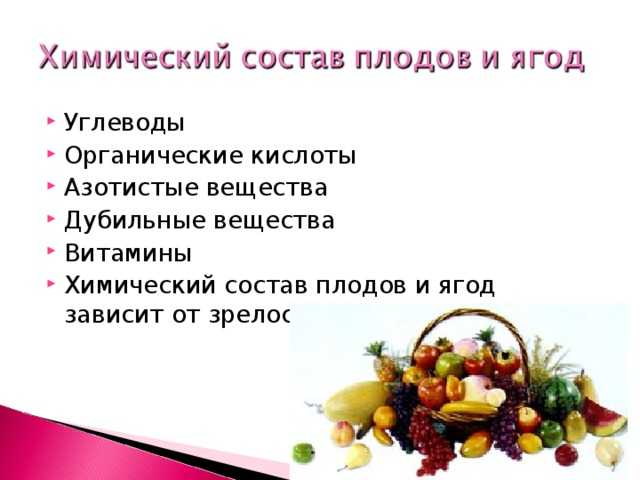 Химический состав и пищевая ценность свежих плодов и овощей. химический состав свежих овощей и плодов
