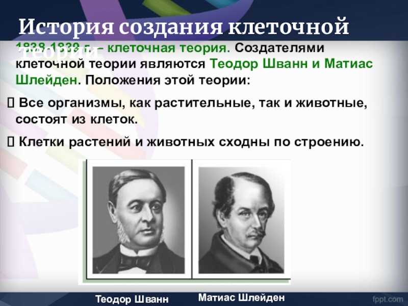 Маттиас шлейден: биография, клеточная теория, вклад