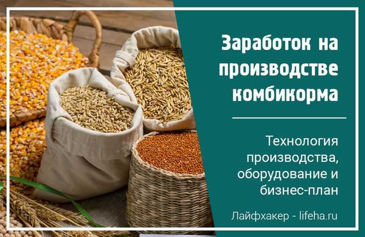 Технология производства комбикормов для животных