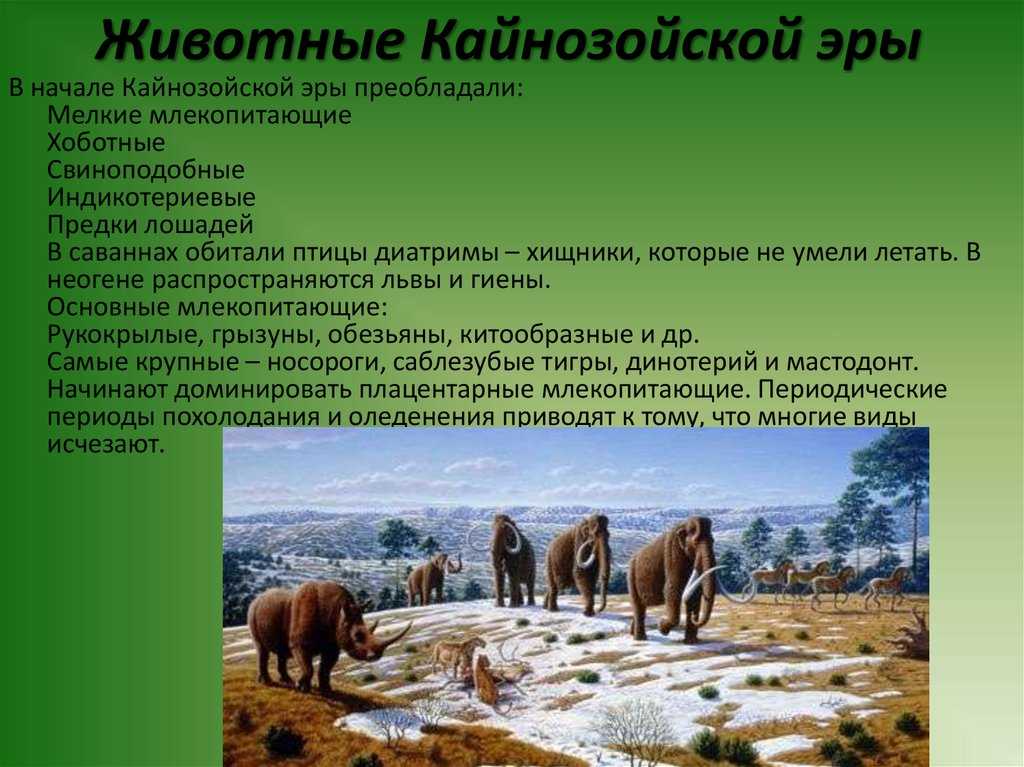 Кайнозойская эра. эпоха млекопитающих - живой космос