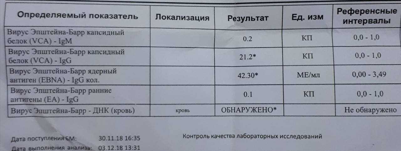 Введение в действие методических указаний мук 3.1.7.3402-16 "эпидемиологический надзор и лабораторная диагностика бруцеллеза" (утв. главным государственным санитарным врачом рф 10 ноября 2016 г.) (стр. 4 ) | авторская платформа pandia.ru