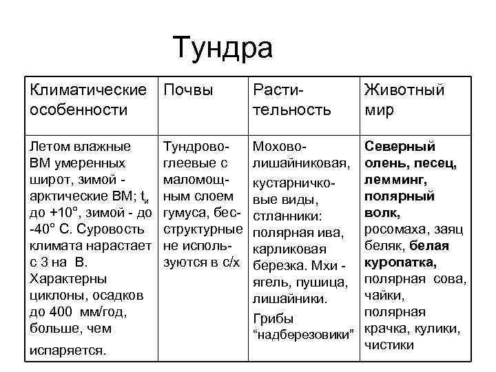 Арктическая тундра