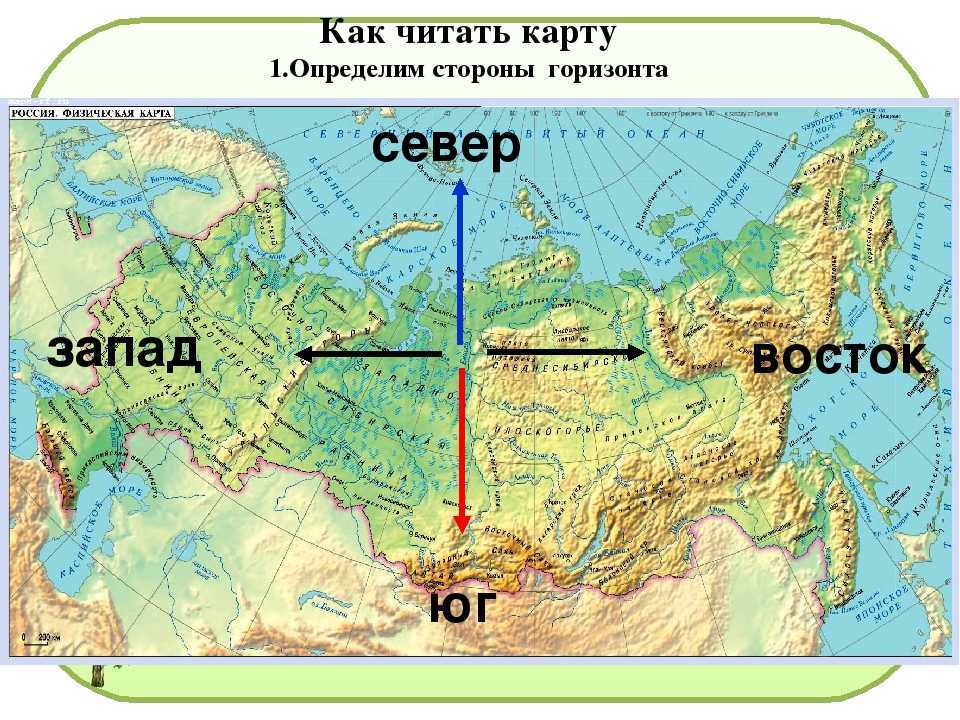2 класс. окружающий мир. плешаков. рабочая тетрадь. часть 2. страницы 77, 78, 79
