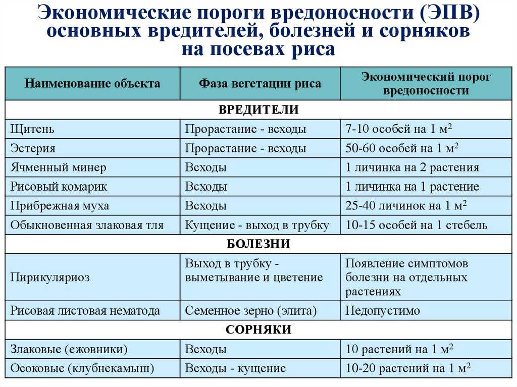 Вредители плодовых культур, 					(деревьев)