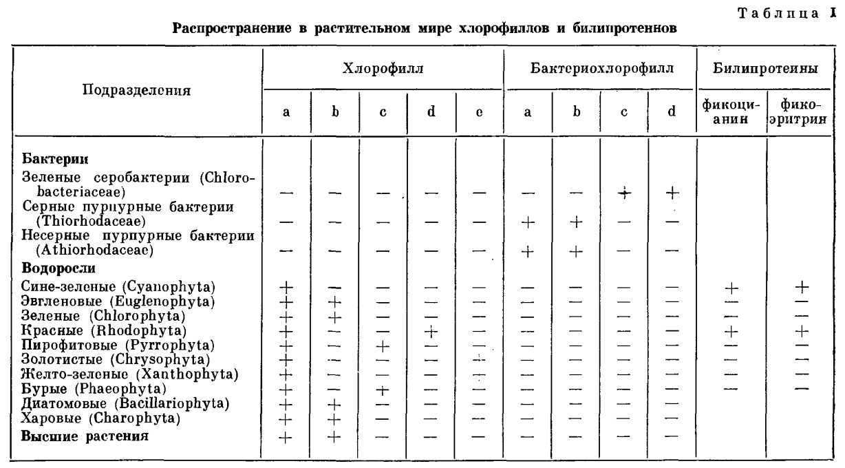 Презентация на тему "пигментные системы фотосинтезирующих организмов"