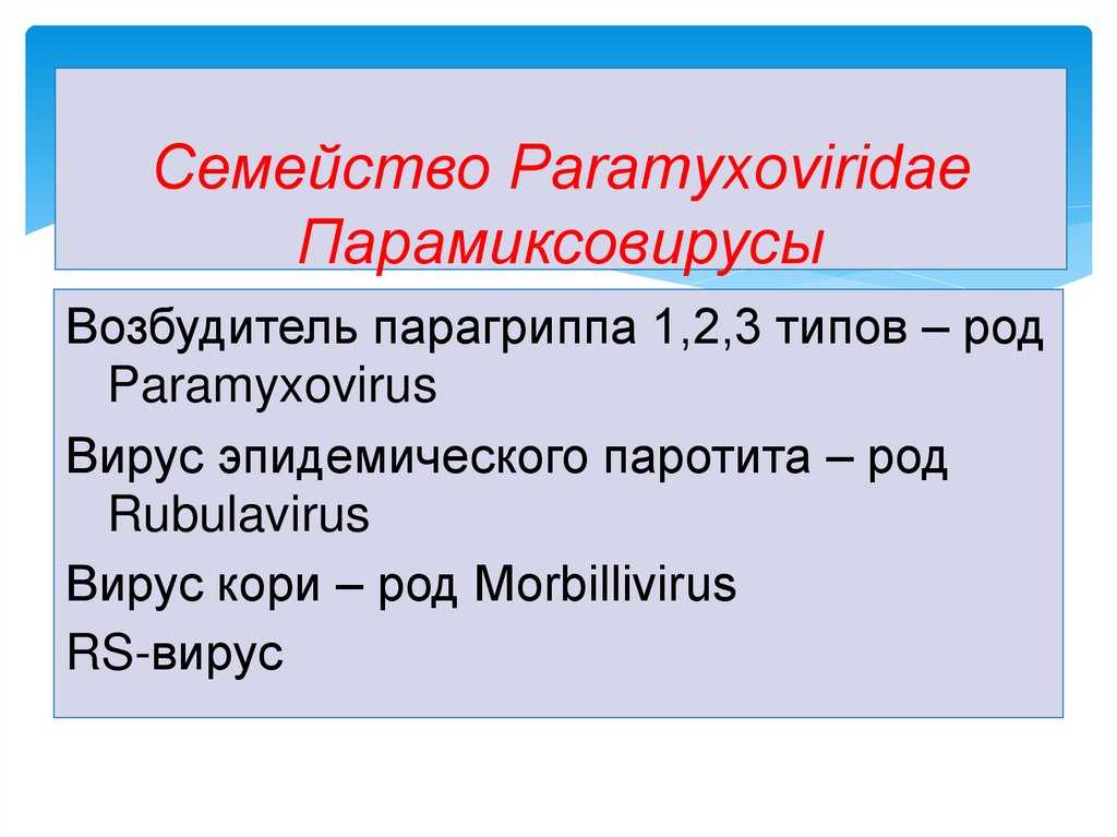 Парамиксовирусы