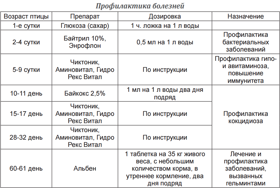 Применение лошадей в фермерском хозяйстве