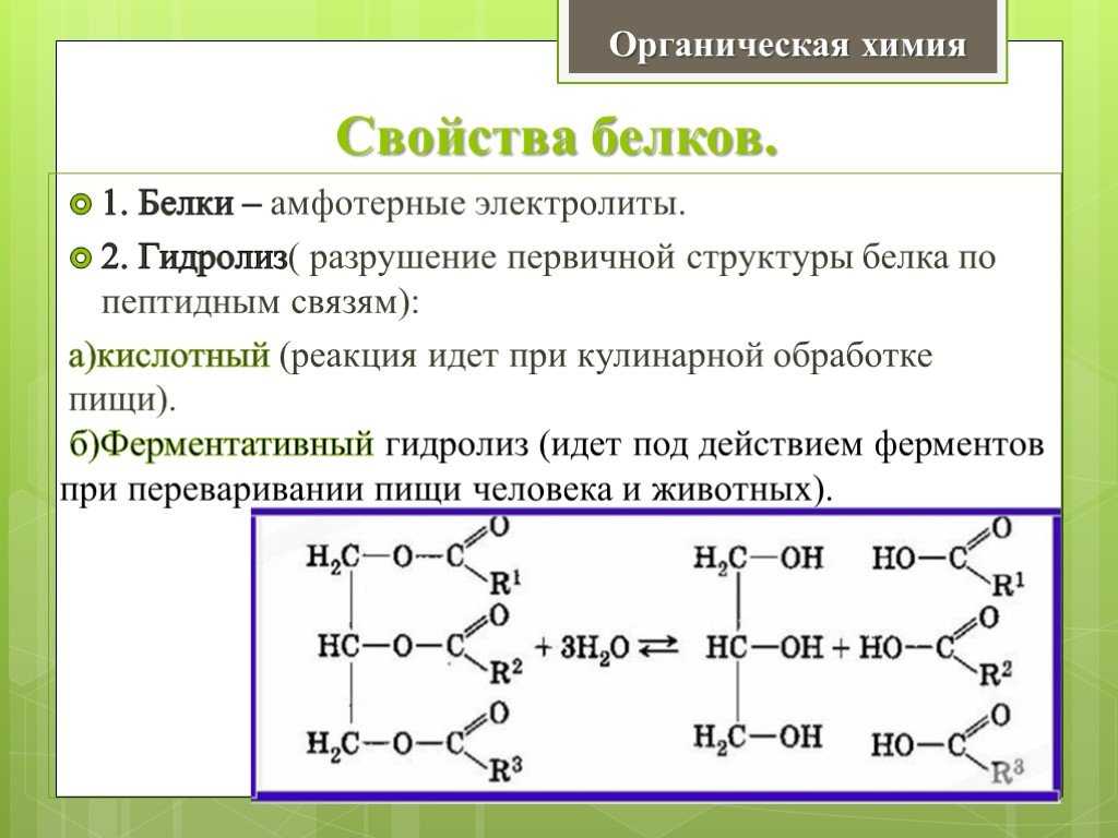 Физико-химические свойства белков и их определение