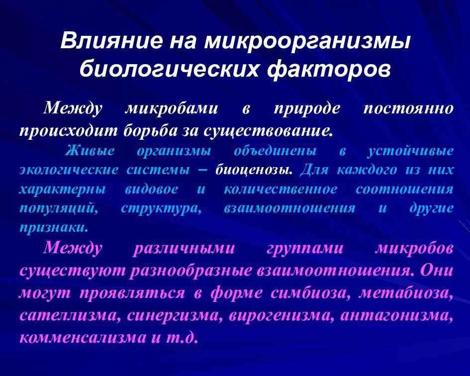 Презентация на тему влияние условий внешней среды на микроорганизмы