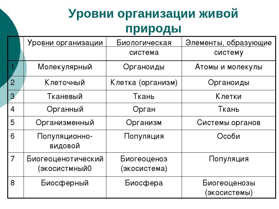 Биогенетический закон геккеля-мюллера для индивидуального развития организма (биология, 9 класс)