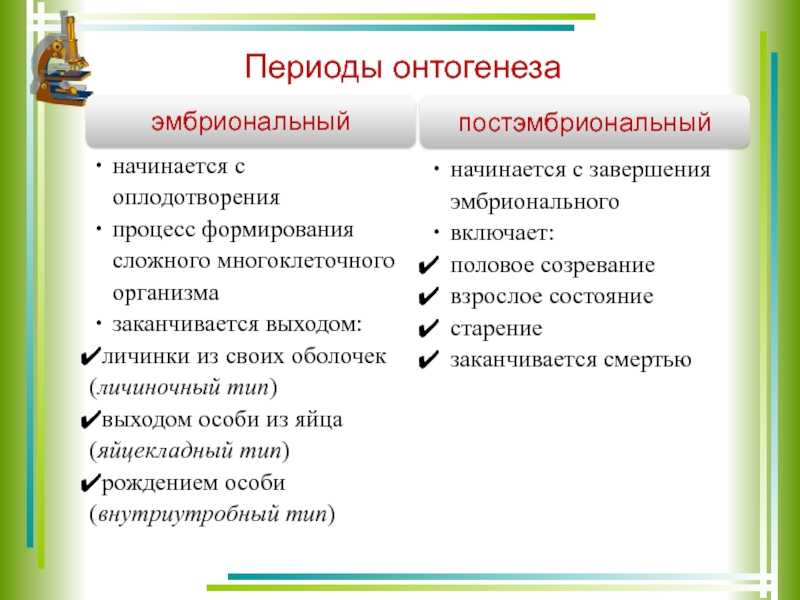 Самая сокровенная тайна