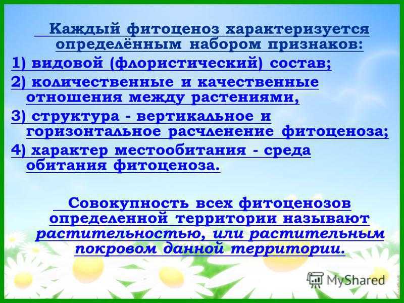 Характеристика фитоценозов. контрольная работа. биология. 2014-02-15