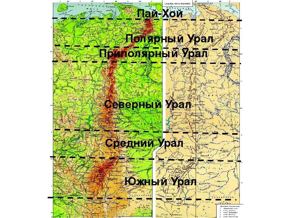 Карта растительности