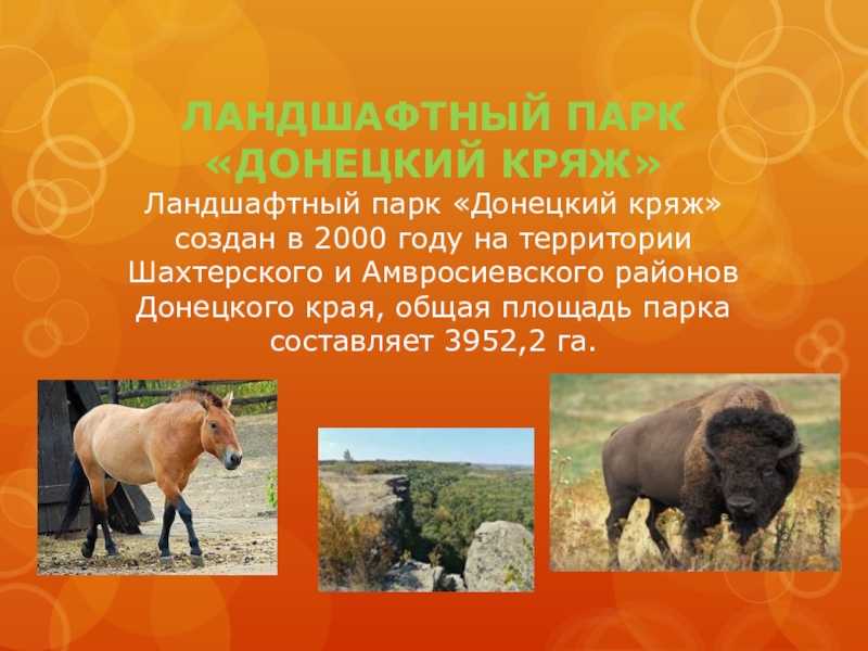 Архитектурные достопримечательности донбасса. заповедные места донбасса