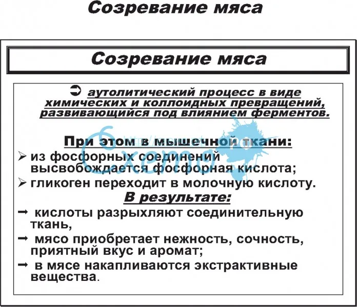 "созревание мяса" - что это? :: ремесленная палата оренбургской области что такое загар мясо конфета коровка сливочная количество петель для носков таблица размеров