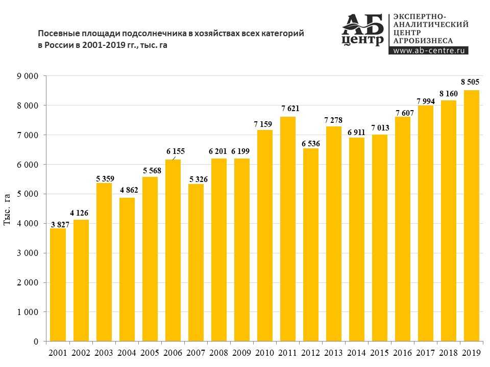Горох посевной – какой сорт даст наилучший урожай в нашей местности?