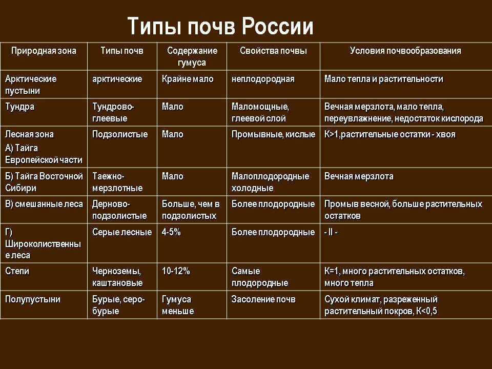 Природная зона тайги - по-сибири