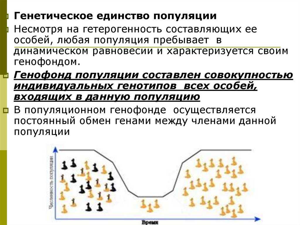 Структура и динамика популяций