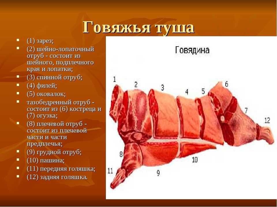 5 главных схем разделки свиной туши, виды мяса