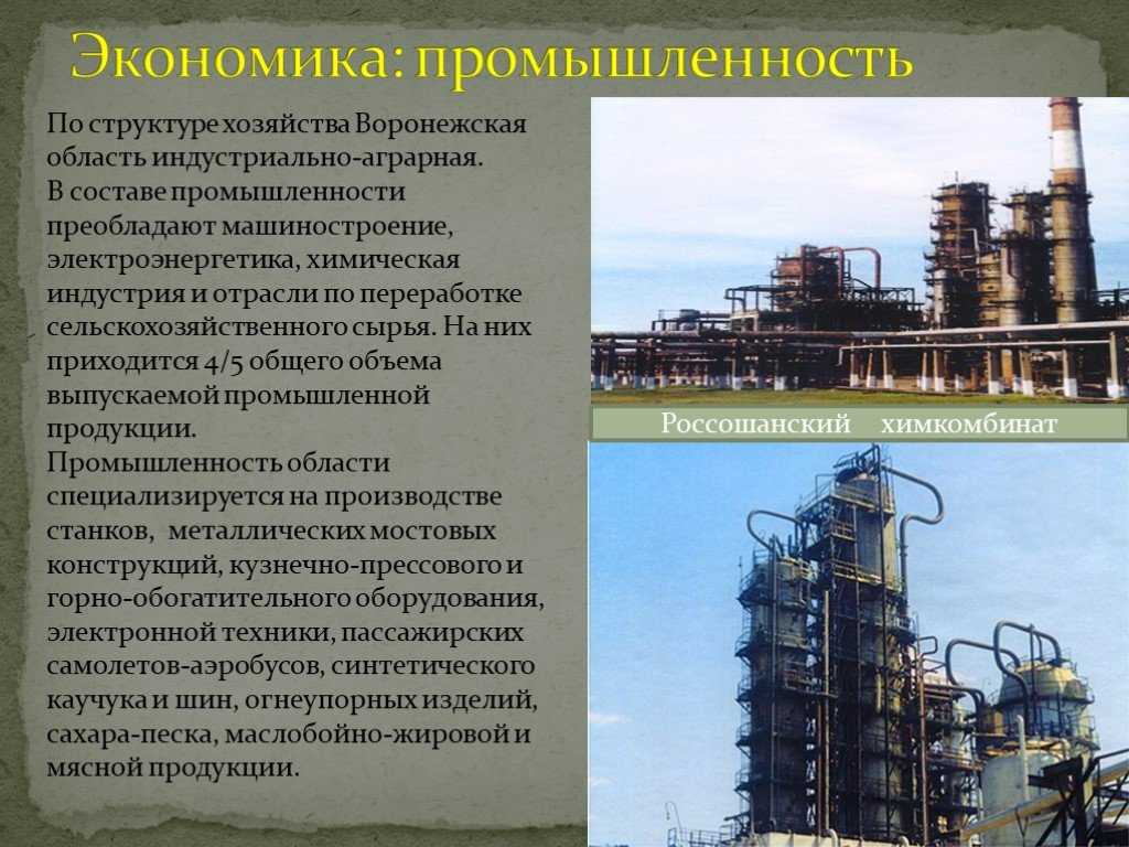 Какие приспособления помогают растениям переносить засуху?