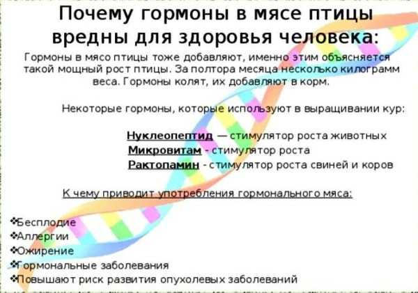 Антибиотики и гормоны роста в мясе – вред для здоровья