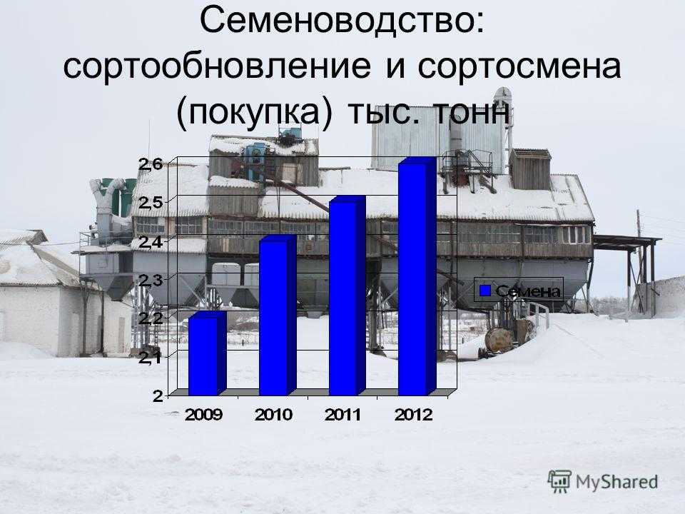 Растеневодство - сортосмена и сортообновление