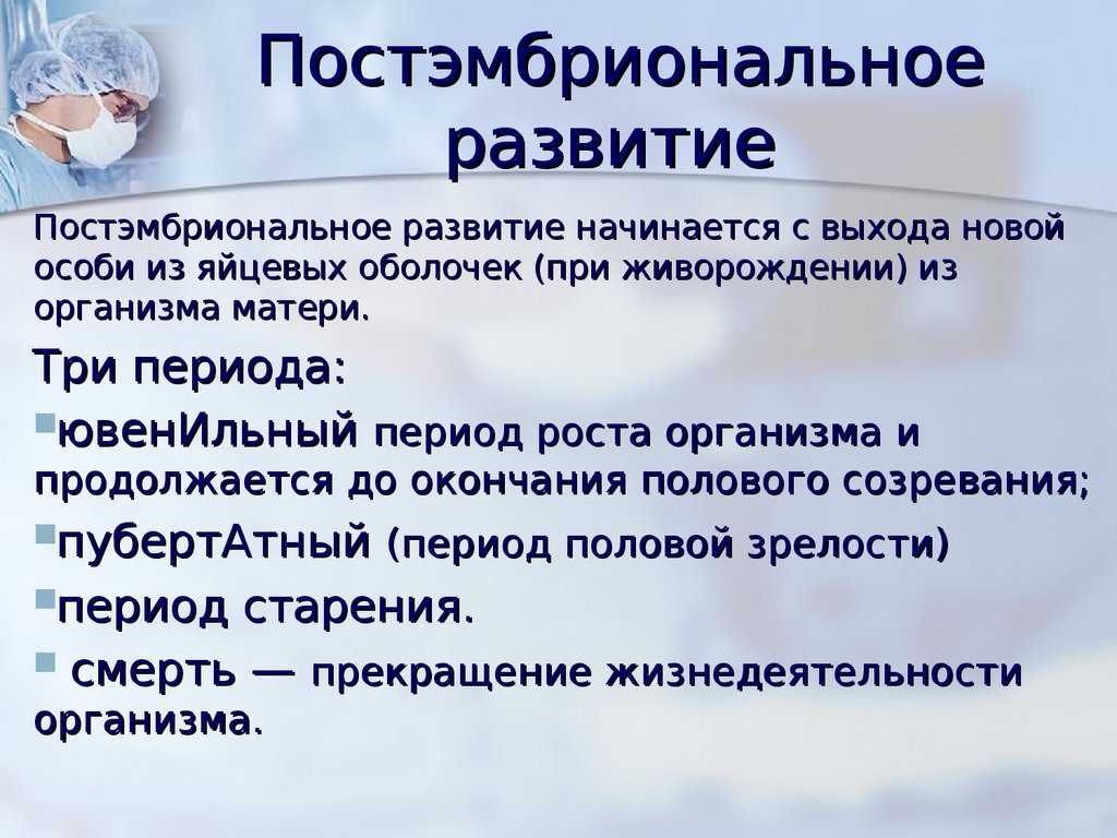 § 38. постэмбриональное развитие животных