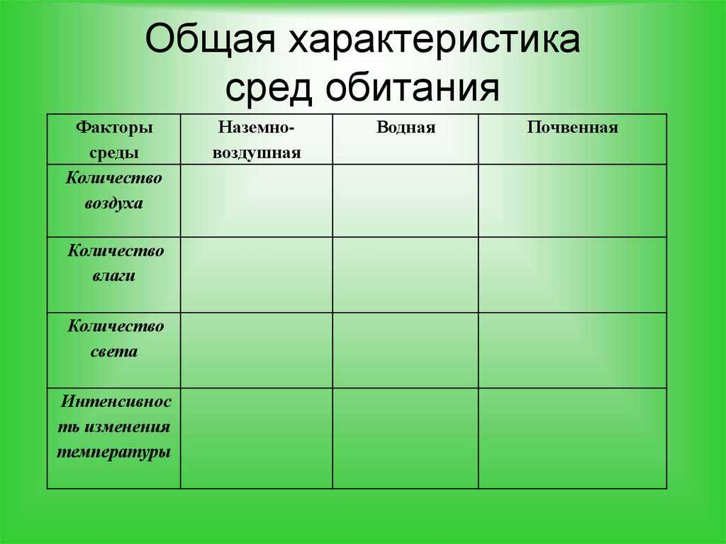 Экология