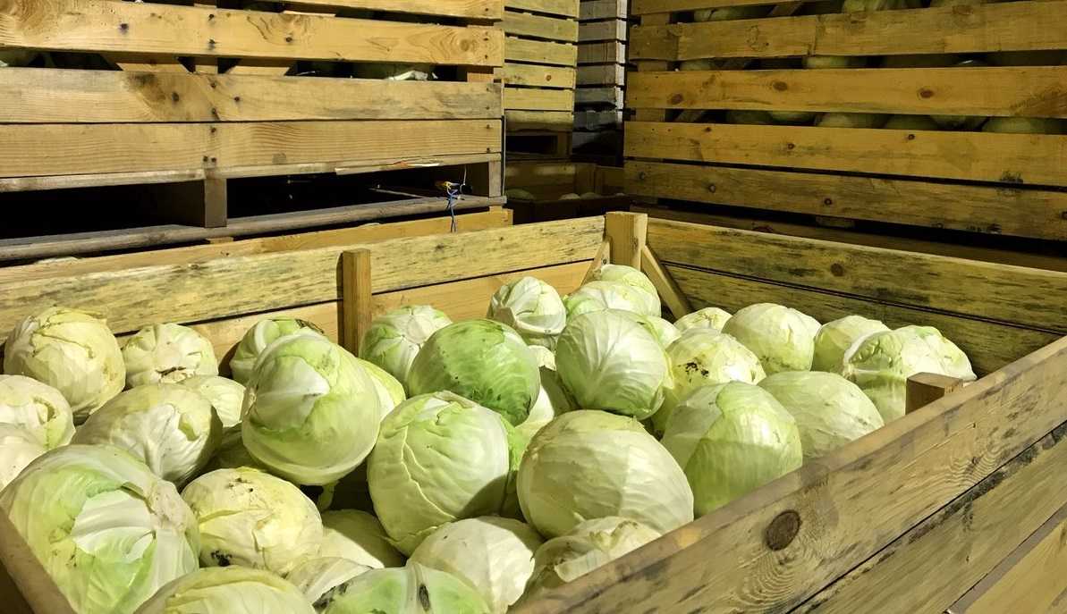 Теплотехнический расчет углубленного плодоовощехранилища с регулируемой газовой средой | статья в журнале «молодой ученый»
