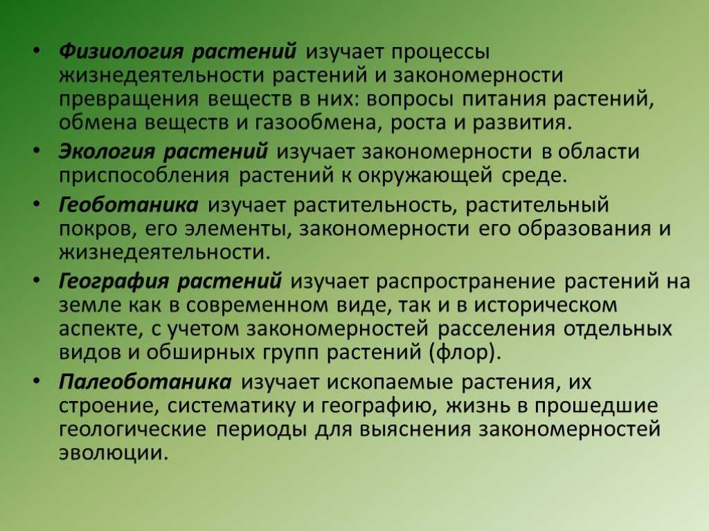 Уход за лесными культурами: что это такое и правила