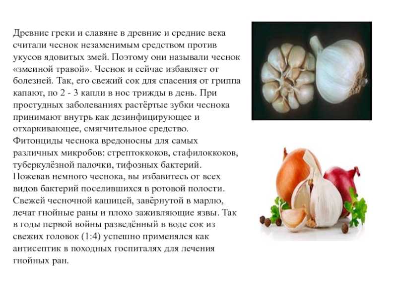 Микробиология учебное пособие - 2012
