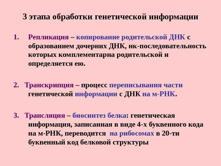 Клеточное ядро - центр управления жизнедеятельностью клетки