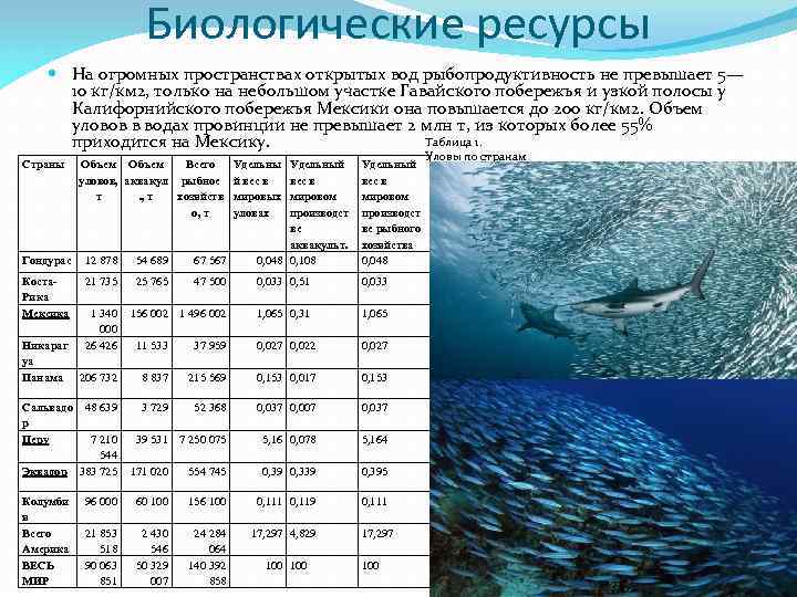 Ресурсы  мирового океана: состав ресурсов, общая характеристика, особенности