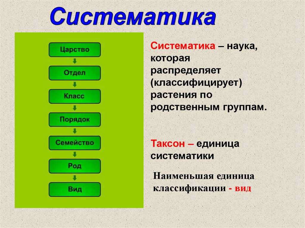 Исследование геоботаники лугов и изменения их биомассы в зависимости от типов лугов | статья в журнале «юный ученый»